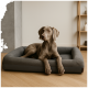 Weimaraner Hund liegt auf einem grauen rechteckigen Haustierbett auf Holzboden in einem minimalistischen Raum.