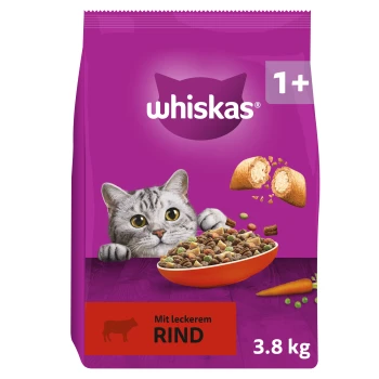 Violette Whiskas-Katzentrockenfutter-Tasche mit hervorlugtender Katze und Futternapf; sichtbare Aufschriften: 'whiskas', '1+', 'Mit leckerem RIND', '3,8 kg'.