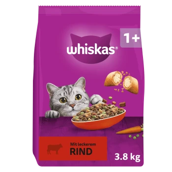 Violette Whiskas-Katzentrockenfutter-Tasche mit hervorlugtender Katze und Futternapf; sichtbare Aufschriften: 'whiskas', '1+', 'Mit leckerem RIND', '3,8 kg'.