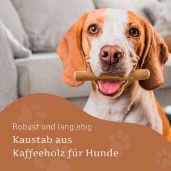 Ein "Kaffeholz Kaustab" Kaffeebaum-Kauspielzeug für Hunde von 25-45 kg, auf Holz mit Größenvergleich von XS bis XL präsentiert.
