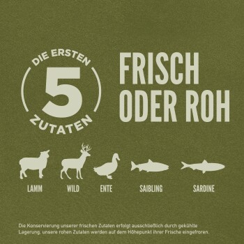 Bild, das Hundefutter bewirbt mit dem Text 'Die ersten 5 Zutaten: Frisch oder roh' und Illustrationen von Lamm, Reh, Ente, Forelle und Sardine.