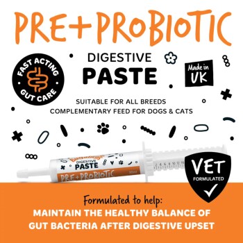 Pre+Probiotic Verdauungspaste-Spritze für Hunde und Katzen, tierärztlich entwickelt; Hergestellt im Vereinigten Königreich, Schnell wirkende Darmpflege