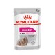 Sachet de nourriture pour chien Royal Canin Exigent, 85g, avec un chien à poils longs sur le devant, étiqueté "Satisfait un appétit difficile."