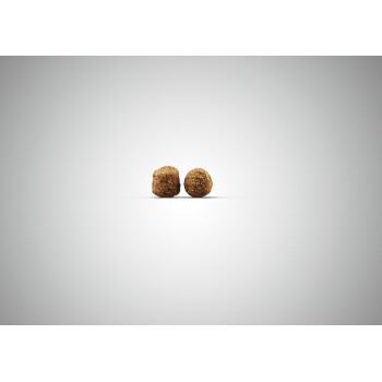 Zwei braune, strukturierte Haustierfutterkibbles sind auf einem hellgrauen Hintergrund zentriert.