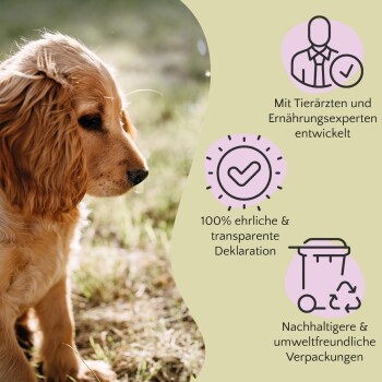 Ein Golden Retriever Welpe auf Gras, mit Text über von Tierärzten entwickelte Produkte, ehrliche Kennzeichnung und nachhaltige Verpackung.