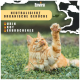 Eine verspielte orange Katze, die nach einem Blatt auf einem grasbewachsenen Feld greift, mit dem Text "Neutralisiert Organische Gerüche" und der Auflistung "Urin, Kot, Erbrochenes."