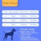 - Hunde Schwimmweste blau S