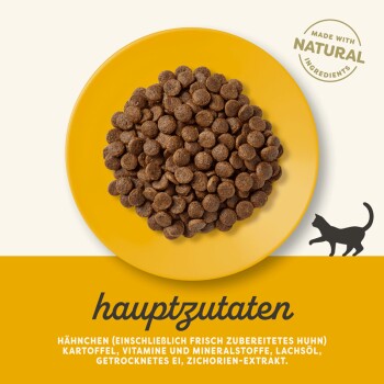 Katzenfutter-Kibble auf einem gelben Teller, mit dem Text "hauptzutaten" und aufgelisteten Zutaten: Huhn, Kartoffeln, Vitamine, Mineralien, Lachsöl.