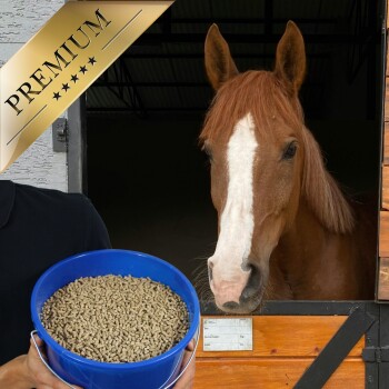 Kastanienbraunes Pferd mit weißer Blesse im Stall neben einem blauen Eimer mit Futterpellets; goldenes Banner 'PREMIUM'.