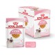 Emballage de nourriture pour chatons Royal Canin, présentant un design de sachet et de boîte, étiqueté pour les chatons jusqu'à 12 mois, avec un total de 12 sachets, chacun de 85g.