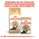 Royal Canin Persian Katzenfutterverpackung mit einem Beutel Trockenfutter und einem Beutel Nassfutter, mit Text zur Förderung der täglichen Portionsergänzung.
