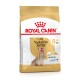 Royal Canin Adult Yorkshire Terrier Hundefutterbeutel für Hunde über 8, mit goldenem Hintergrund und einem Bild eines Yorkshire Terriers.