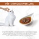Weiße langhaarige Katze, die neben einer Schale Nassfutter gestreichelt wird; orangefarbener Banner 'FÜTTERUNGSEMPFEHLUNG' und deutscher Fütterungstext.