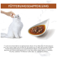 Weiße langhaarige Katze, die neben einer Schale Nassfutter gestreichelt wird; orangefarbener Banner 'FÜTTERUNGSEMPFEHLUNG' und deutscher Fütterungstext.