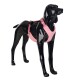 Ein schwarzer Hundemannequin trägt ein pinkes Geschirr, das verstellbare Riemen und ein schlankes Design zeigt, vor einem weißen Hintergrund.