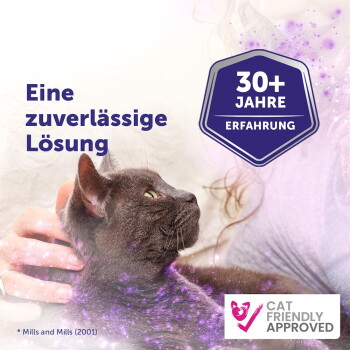 Grau getigerte Katze wird gestreichelt; Text: 'Eine zuverlässige Lösung'; Abzeichen: '30+ Jahre Erfahrung'; 'Cat Friendly Approved'.