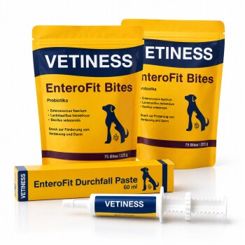 Gelbe VETINESS-Verpackung: EnteroFit Bites (zwei Beutel, 75 Bites/225 g) und EnteroFit Durchfall-Paste 60 ml mit Spritzapplikator.