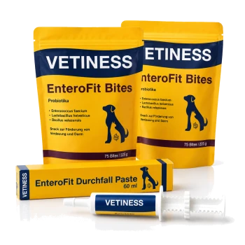 Gelbe VETINESS-Verpackung: EnteroFit Bites (zwei Beutel, 75 Bites/225 g) und EnteroFit Durchfall-Paste 60 ml mit Spritzapplikator.