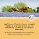 Zwei Pferde grasen auf einem Feld mit blauen Blumen unter einem klaren Himmel, mit Text, der ein Pflegepaket für ältere Pferde bewirbt.