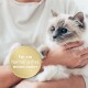 Eine Person hält eine flauschige, hellfarbige Katze mit blauen Augen, begleitet von einem runden Abzeichen, das "Für ein harmonisches Miteinander" liest.