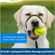 Ein glücklicher Hund mit einem grünen Tennisball im Mund, neben einem Text über Essen, Trinken, Spielen und uneingeschränkte Bewegung.