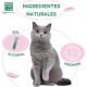 Eine graue Katze mit orangefarbenen Augen sitzt prominent in der Mitte, umgeben von Text, der "INGREDIENTES NATURALES", "SIN ALCOHOL" und "VEGANOS" angibt.