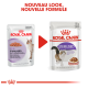 Image de deux sachets de nourriture pour chats Royal Canin étiquetés "Stérilisé" avec un nouveau design, présentant un chat et le texte "NOUVEAU LOOK, NOUVELLE FORMULE."