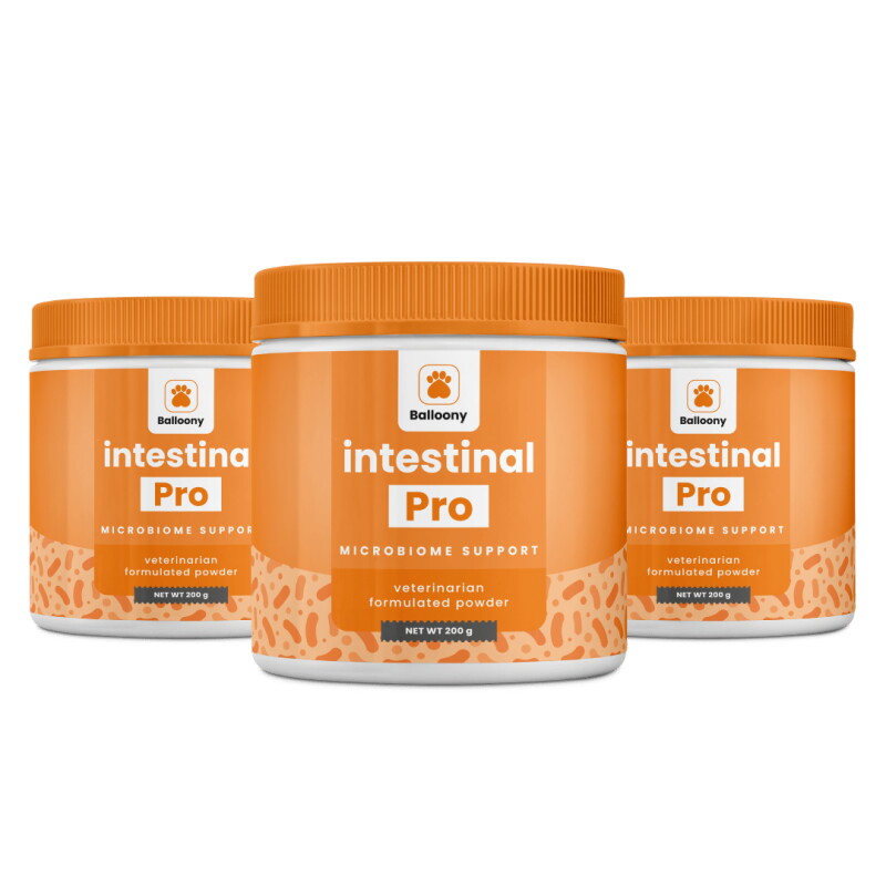 Balloony.pet German Shephy Darmpulver Intestinal Pro 600 g