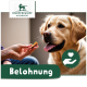 Eine Hand bietet einem Hund einen Leckerbissen an, mit dem Text "Belohnung", der deutlich darunter angezeigt wird. Der Hund wirkt eifrig und aufmerksam.