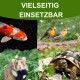 Eine Collage aus einem Koi-Fisch, zwei Vögeln auf einem Ast, einem Hamster und einer Schildkröte auf Gras, mit "VIELSEITIG EINSETZBAR" oben.