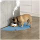 Ein beiger Hund mit einem dunklen Halsband frisst aus einer weißen Schüssel auf einem Holzständer, der auf einer blauen Matte in einer modernen Küche platziert ist.