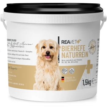 Behälter mit REAVET Bierhefe Naturrein, einem natürlichen Hundesupplement mit den Vitaminen B1, B2, B6, B9 und B12, 1,5 kg, hergestellt in Deutschland.