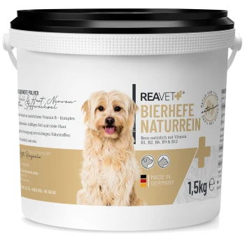 Behälter mit REAVET Bierhefe Naturrein, einem natürlichen Hundesupplement mit den Vitaminen B1, B2, B6, B9 und B12, 1,5 kg, hergestellt in Deutschland.