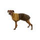 Ein Hund, der einen zweifarbigen wasserdichten Mantel trägt, mit einem braun-beigen Design und einem orangefarbenen Akzent, steht vor einem weißen Hintergrund.