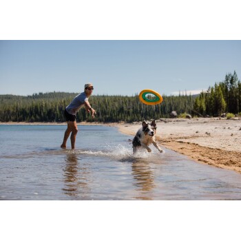 Eine Person wirft einen grünen und orangefarbenen Frisbee in einen See, während ein Hund fröhlich durch das Wasser spritzt, um ihn zu fangen.