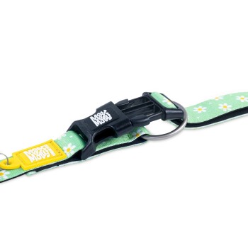 Grünes Hundehalsband mit weißen Gänseblümchen, schwarzer Plastikschließe, Metallring und gelbem Anhänger mit der Aufschrift „Max & Molly“.