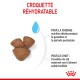 Croquettes réhydratables pour chiens, idéales pour la gestation et la période postnatale, facilitent la transition pour les chiots.