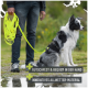 Eine Person hält eine gelbe Hundeleine neben einem schwarz-weißen Hund in einem Geschirr, mit dem Text: "Rutschfest & bequem" und "Innovatives Material."
