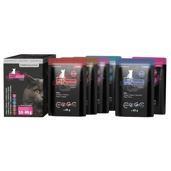 Ein Sortimentspack Katzenfutterbeutel von "catz finefood", mit Geschmacksrichtungen wie Huhn und Truthahn, mit einer Box, die "12 x 85 g" anzeigt.