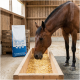 Ein braunes Pferd mit einer weißen Blässe frisst aus einer Metallschüssel auf dem Boden, neben einem Sack Wisan Functional Feed und einem Haufen Futterpellets.