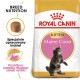 Torba z karmą dla kociąt Royal Canin Maine Coon z figlarnym kociakiem rasy Maine Coon, z tekstem podkreślającym odżywianie rasy i specjalnie opracowane chrupki.