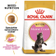 Torba z karmą dla kociąt Royal Canin Maine Coon z figlarnym kociakiem rasy Maine Coon, z tekstem podkreślającym odżywianie rasy i specjalnie opracowane chrupki.