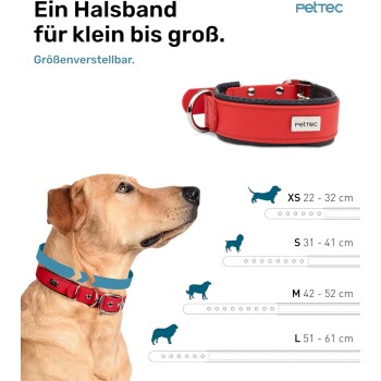 Nahaufnahme eines Hundes in einem roten verstellbaren Halsband mit dem Text: "Ein Halsband für klein bis groß. Größenverstellbar." Größentabelle XS bis L.