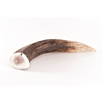 Hundesnack - Hirsch-Geweihe XXL - 160g