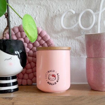 Ein pinker Hello Kitty-Behälter mit einem Holzdeckel, beschriftet mit "LUCYBALU", steht auf einem Regal neben einem gestreiften Blumentopf und pinken Töpfen mit einem grünen Blatt.