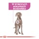 Ilustracja stojącego psa z wyróżnionym obszarem na ciele, towarzyszy jej polski tekst mówiący "W zmiennych warunkach środowiska."