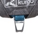 Nahaufnahme eines grauen Kurgo-Hundegeschirrs mit einem blauen Riemen und einem metallenen D-Ring zur Leinenbefestigung.