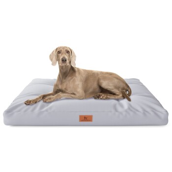 Hundekissen Gatsby aus Oxford-Gewebe grau M-L