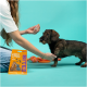 Eine Person bietet einem kleinen braunen Hund ein Leckerli an, mit einer Packung Edgard Cooper Top Dog Bites im Vordergrund.