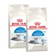 Zwei Beutel Royal Canin Katzenfutter mit der Aufschrift "Home Life INDOOR" für Katzen ab 7 Jahren, mit einer grauen getigerten Katze auf der Verpackung.